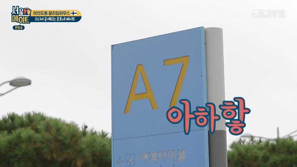 [서울메이트] 첫등장부터 흥이 넘치는 핀란드 어머님들 | 인스티즈