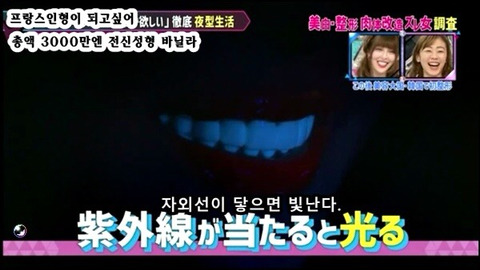 프랑스 인형이 되고싶어 총액 3000만엔 전신성형한 바닐라 | 인스티즈