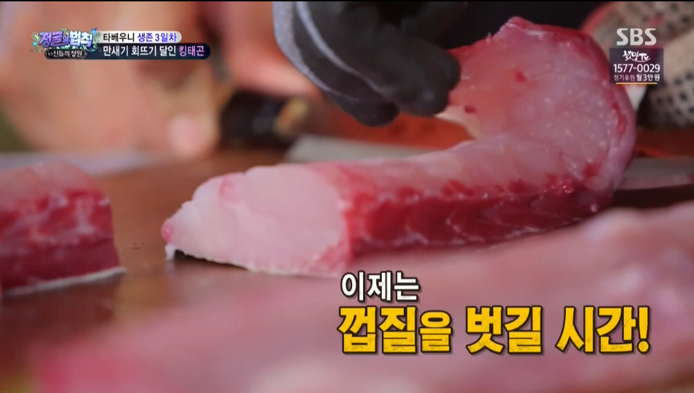오늘자 정글의법칙 이태곤 회뜨기 클라스 | 인스티즈