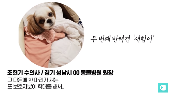 폭염 속 버려진 똘똘이가 모니로 개명한 사연 | 인스티즈