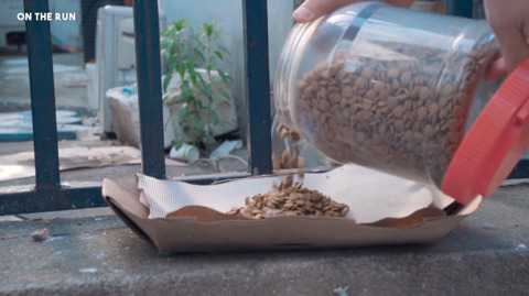 망원동 고양이 밥을 책임지고 있는 아이돌 | 인스티즈